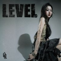 QQ - LEVEL