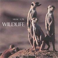 Terry Oldfield - Music For Wildlife