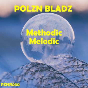 Polzn Bladz - Methodic Melodic