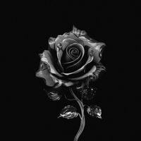 BERRY - RÉSZEG DAL