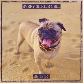 benson - Every Single Cell
