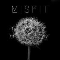 DIY - Misfit