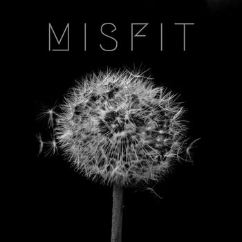 DIY - Misfit