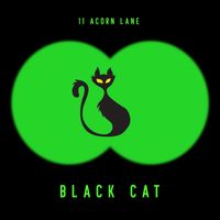 11 Acorn Lane - Black Cat