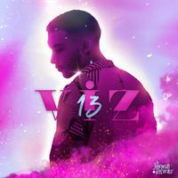 Viz - 13