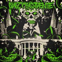 NaizPresidente - NaizPresidente