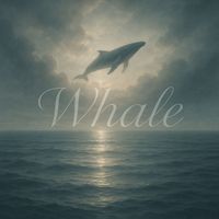 Whale - Refresh