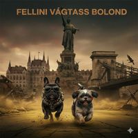 Fellini - Vágtass Bolond
