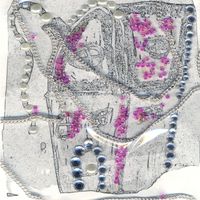 Chacho - Living in my House