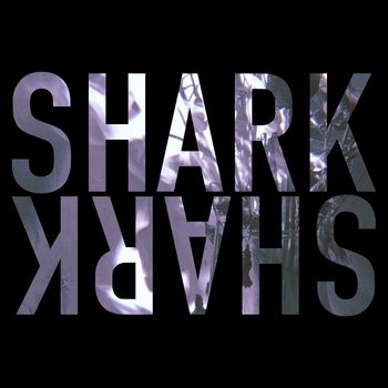FRANKLIN - Shark