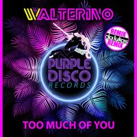 Walterino - Too Much of You