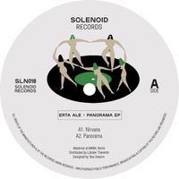 Erta Ale - Panorama