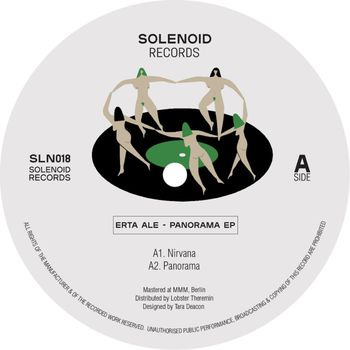 Erta Ale - Panorama
