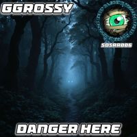 GGrossy - Danger Here EP