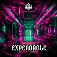 Rowney - Expendable / Journeys