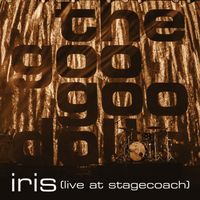 Goo Goo Dolls - Iris (Live at Stagecoach California’s Country Music Festival)