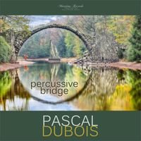 Pascal Dubois - Percussive Bridge (Electrocussion Mix)