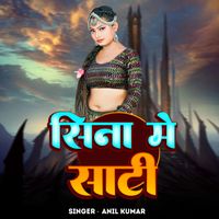 Anil Kumar - Sina Me Sati