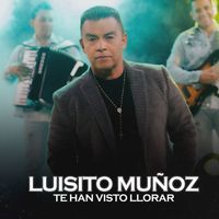 Luisito Muñoz - Te Han Visto Llorar