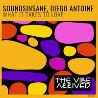 Soundsinsane, Diego Antoine - What It Takes to Love
