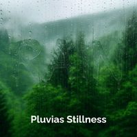 rain - Pluvias Stillness