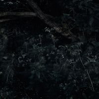 Teho Teardo - Laura Palmer's Theme