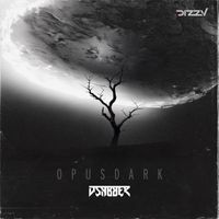 D-SABBER - OPUSDARK