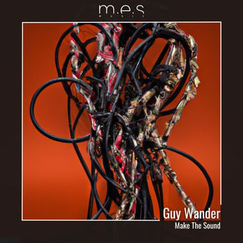 Guy Wander - Make The Sound