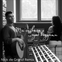 Ikigai - Ти співала щоб віддати (Nick de Grand Remix)