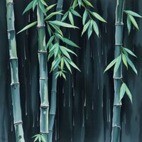 Aura - Accepting the gift of beginning