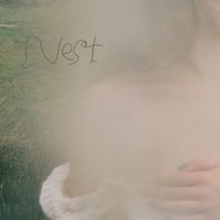 Lacuna - Nest