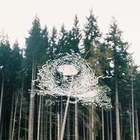 Lacuna - Nest