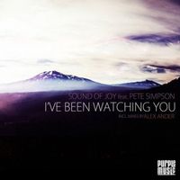 Sound Of Joy - I've Been Watching You