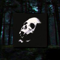 Zachary Hill - Grave Tape