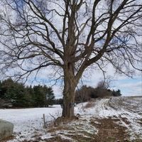 Pilgrim Road - When Lies Masquerade as Free Speech