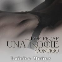Luisito Muñoz - Por Pecar Una Noche Contigo