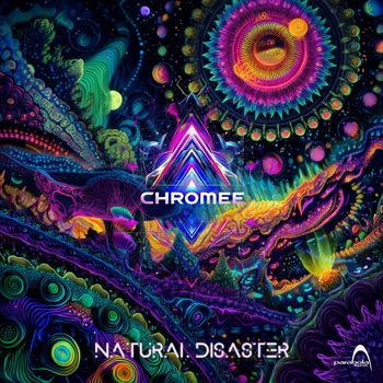 Chromee - Natural Disaster