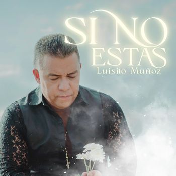 Luisito Muñoz - Si No Estás