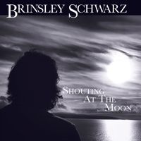 Brinsley Schwarz - Shouting At The Moon