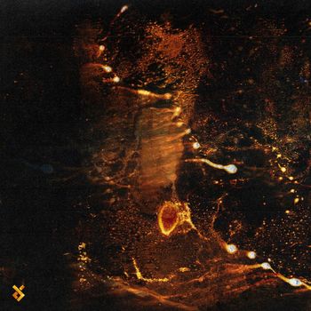 Arutani - Diffusion