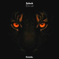 Seleck - The Fire Inside