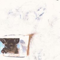 Twine - Deer In The Headlights
