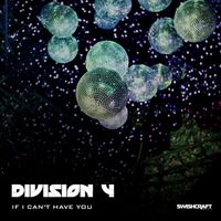 Division 4 - If I Can't Have You