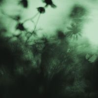 Blossom - Garden of Words/Hurry Sickness