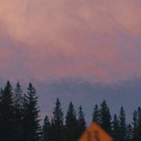 parallel, Total - forest
