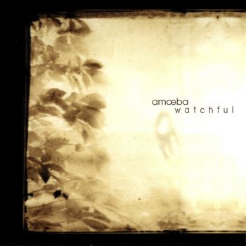 Amoeba - Watchful