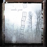 Amoeba - Pivot