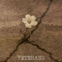 DYNO - Veterano (Explicit)