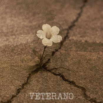 DYNO - Veterano (Explicit)