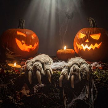 Miro - Spooky Paws